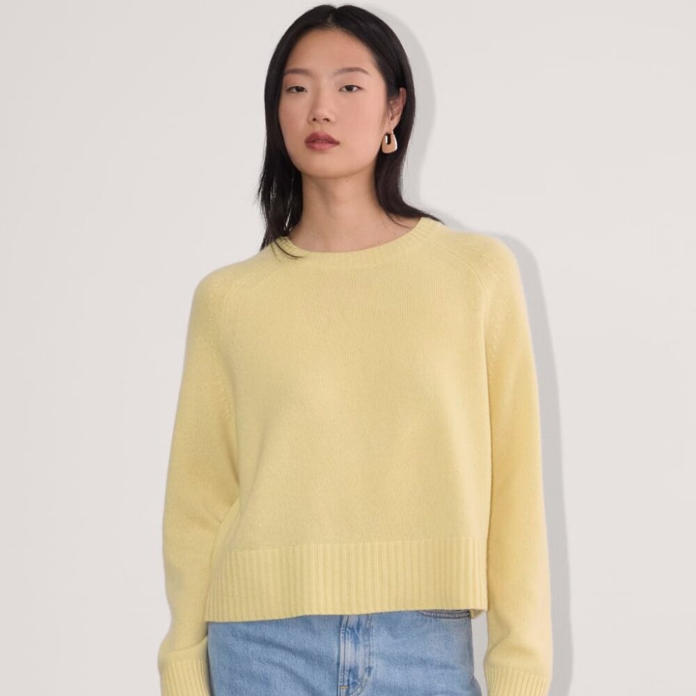Everlane Boxy Cashmere Sweater